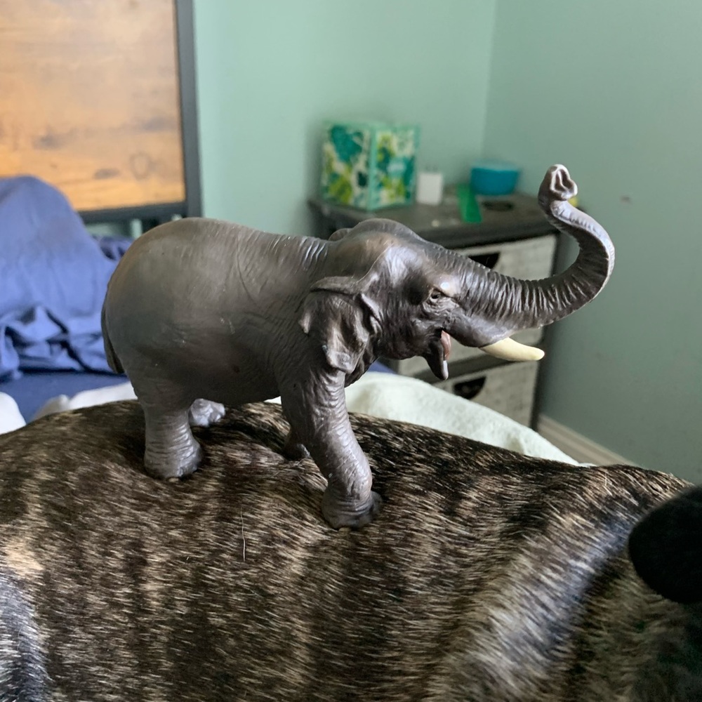Schleich Elephant Bundle 3pc